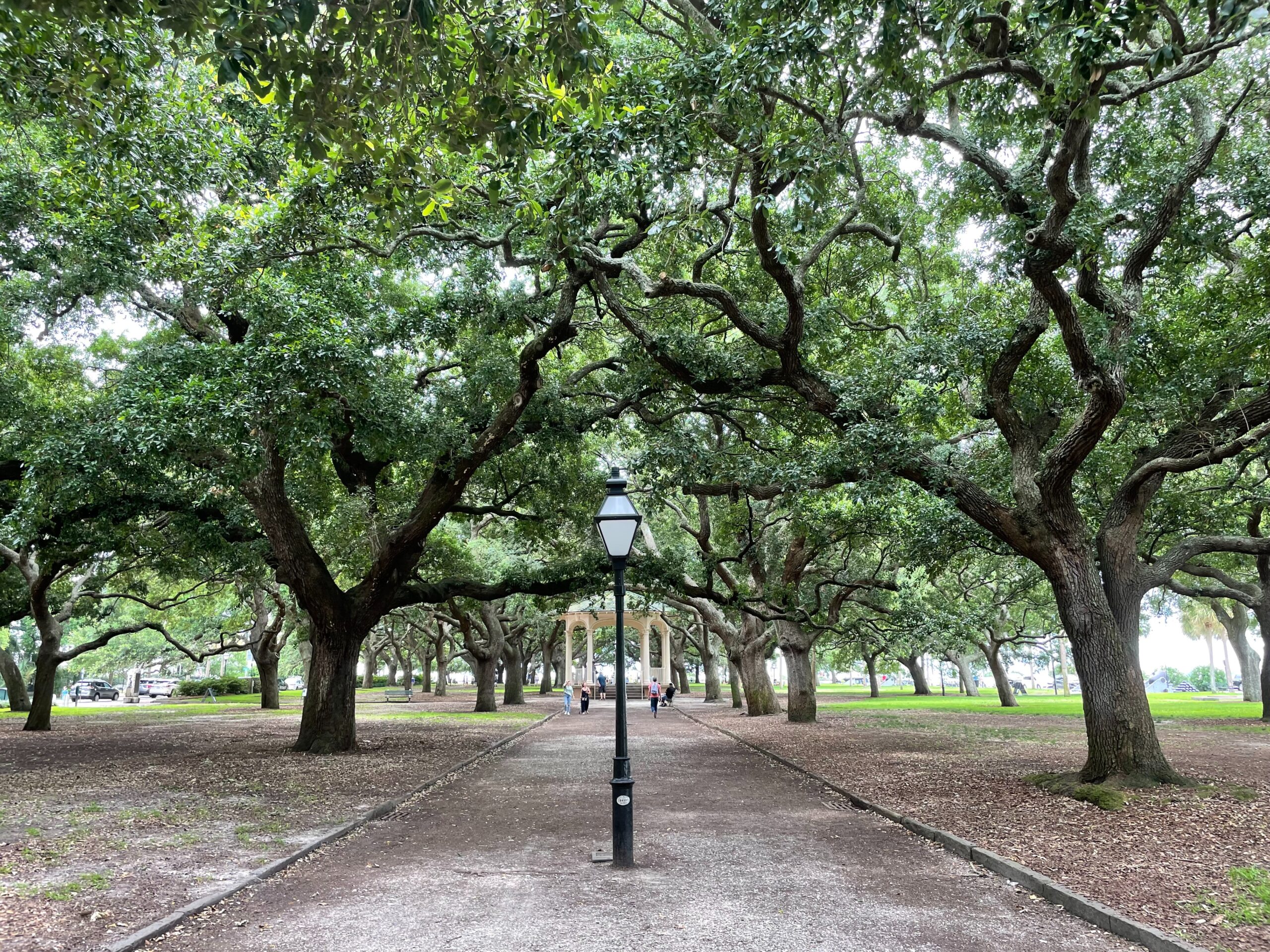 Savannah Uncovered: Unraveling the Charm of Georgia’s Timeless Beauty